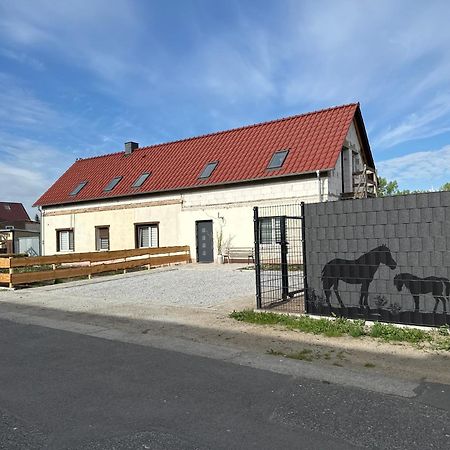 Ferienwohnung W Diamonds Ranch Grossraeschen Exterior foto